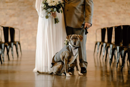 Wags Of Love is a service for those who choose to have their dog in their special wedding day