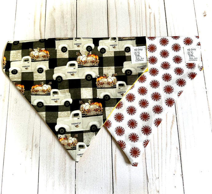 Pawsitively Stylish: Handmade Over-the-Collar Dog Bandanas for Your Furry Friends