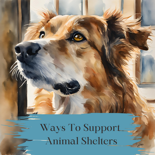 5 Ways To Support Your Local Animal Shelter