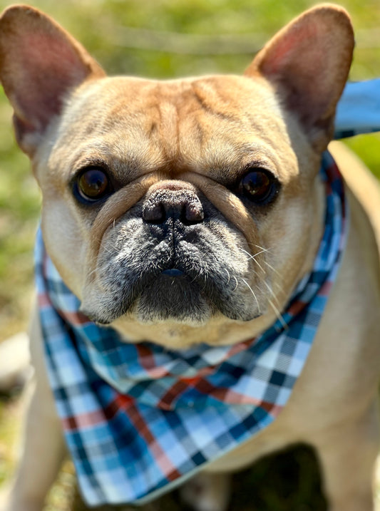 Plaid Dog Bandana Personalized Blue Pet Scarf Custom Dog Accessory Stylish Orange Puppy Neckwear Gift For Dog Lovers Trendy Pet Apparel