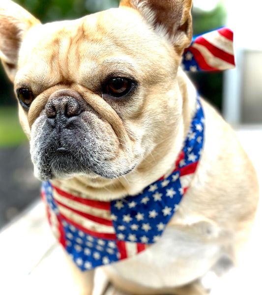 Patriotic USA Dog Bandana with American Flag Pet Scarf Red White and Blue Dog Accessory Stars and Stripes Puppy Bandana Holiday Pet Gift
