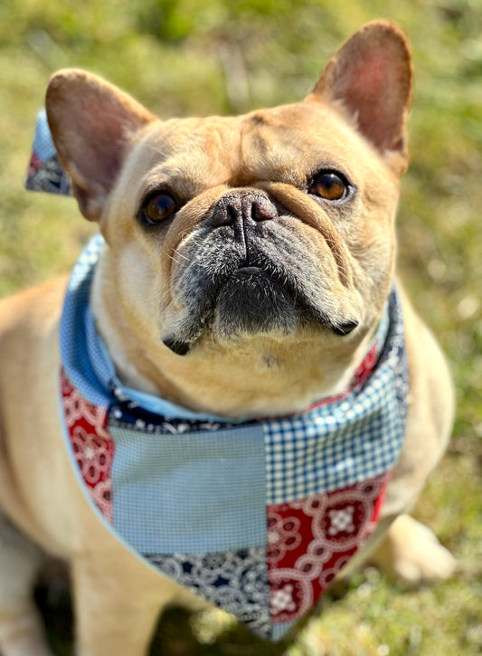 Dog Bandana Patchwork Red White And Blue Country Dog Scarf Patriotic USA Dog Accessory Fourth Of July Puppy Outfit American Flag Photo Shoot