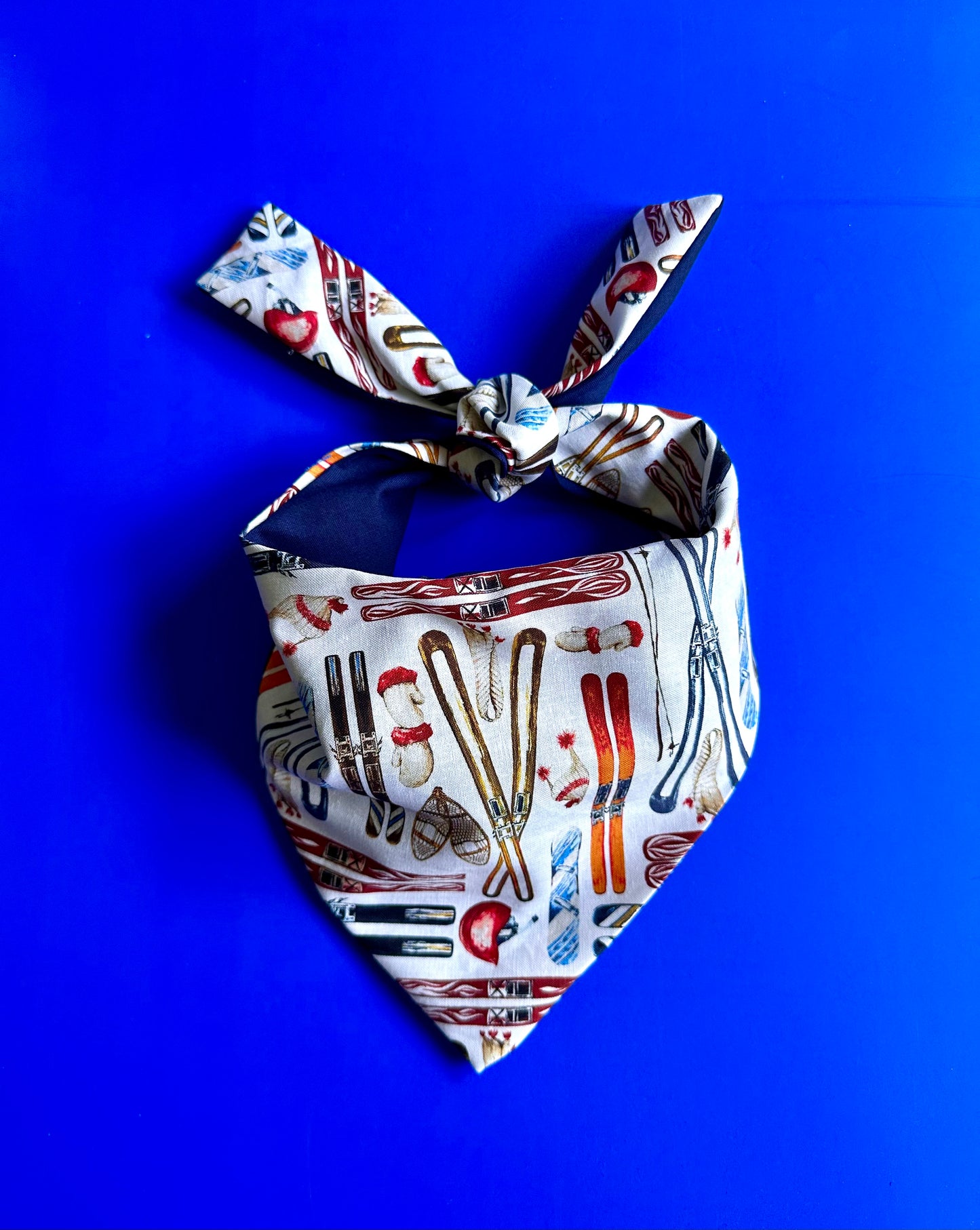 Personalized Apres Ski Dog Bandana: Custom Holiday Pet Scar
