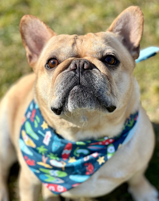Surfboard Dog Bandana Surfing Pet Neckwear Beach Theme Puppy Accessory Summer Vibes Dog Scarf Unique Surfer Dog Fashion Nautical Pet Apparel