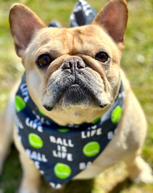 Ball Is Life Dog Bandana Sports Themed Pet Accessory Navy Blue Puppy Apparel Tennis Lover Gift Idea For New Family Pet Play Ball Outfit