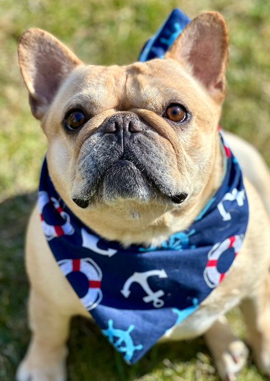 Nautical Dog Bandana Sailboat Pet Scarf Summer Dog Accessory Beach Dog Outfit Puppy Bandana Coastal Dog Accessory Ocean Lover Pet Gift Idea