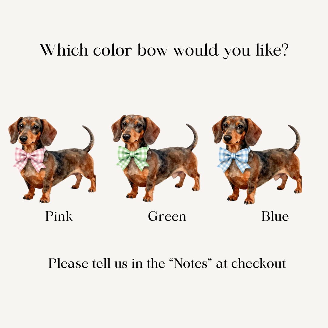Personalized Dachshund Sweatshirt New Arrival