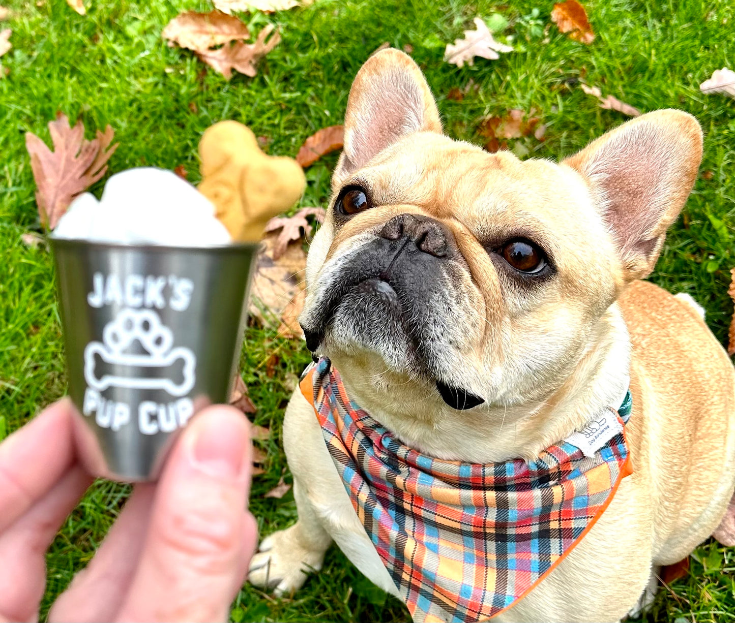 custom pup cup