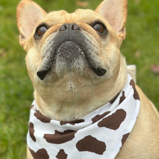 Cow Print Dog Bandana Handmade Personalized Pet Accessory Western Custom Dog Scarf Stylish Farm-Themed Puppy Bandana Unique Gift Idea Pets