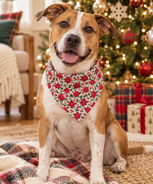 Smiling tan and white dog wearing a poinsettia dog bandana with red flowers, green holly leaves, and red berries, sitting on a plaid blanket in front of a lit Christmas tree with wrapped gifts