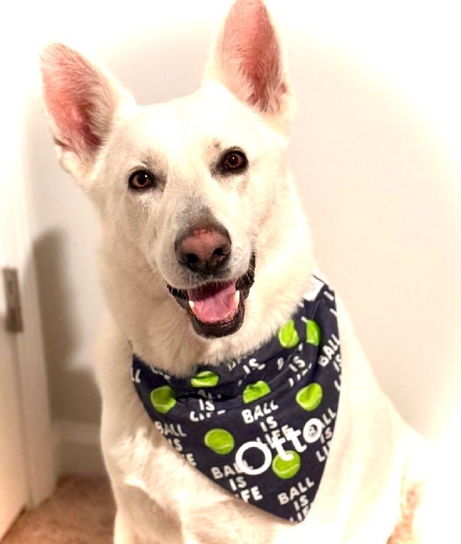 Ball Is Life Dog Bandana Sports Themed Pet Accessory Navy Blue Puppy Apparel Tennis Lover Gift Idea For New Family Pet Play Ball Outfit