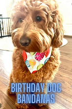 Load image into Gallery viewer, Birthday balloon dog bandana
