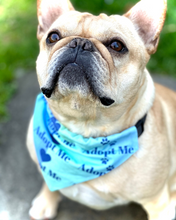Load image into Gallery viewer, Adopt Me Dog Bandana Rescue Pet Scarf Neckwear for Shelter Dogs &amp; Adoption Events Essential Pet Adoption Accessory Foster Dog Mom Gift Idea
