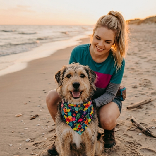 Woman and dog on a beach at sunset