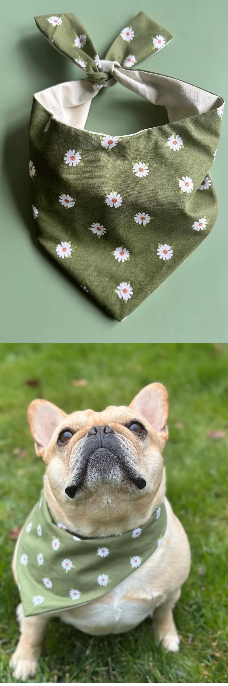 Daisy Dog Bandana Custom Floral Pet Scarf Personalized Puppy Accessory Cottage Core Dog Unique Gift Idea For New Family Pet Photo Shoot