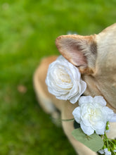 Load image into Gallery viewer, dog flower collar for wedding photos
