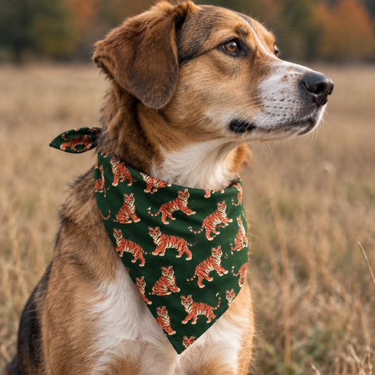 mixed breed dog wearing a tiger dog bandana