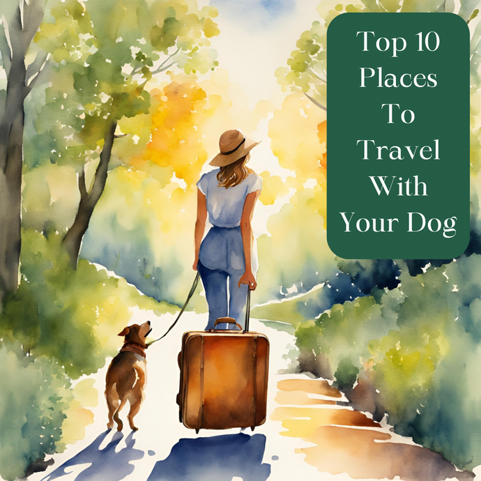 Top 10 Places To Travel With Your Dog