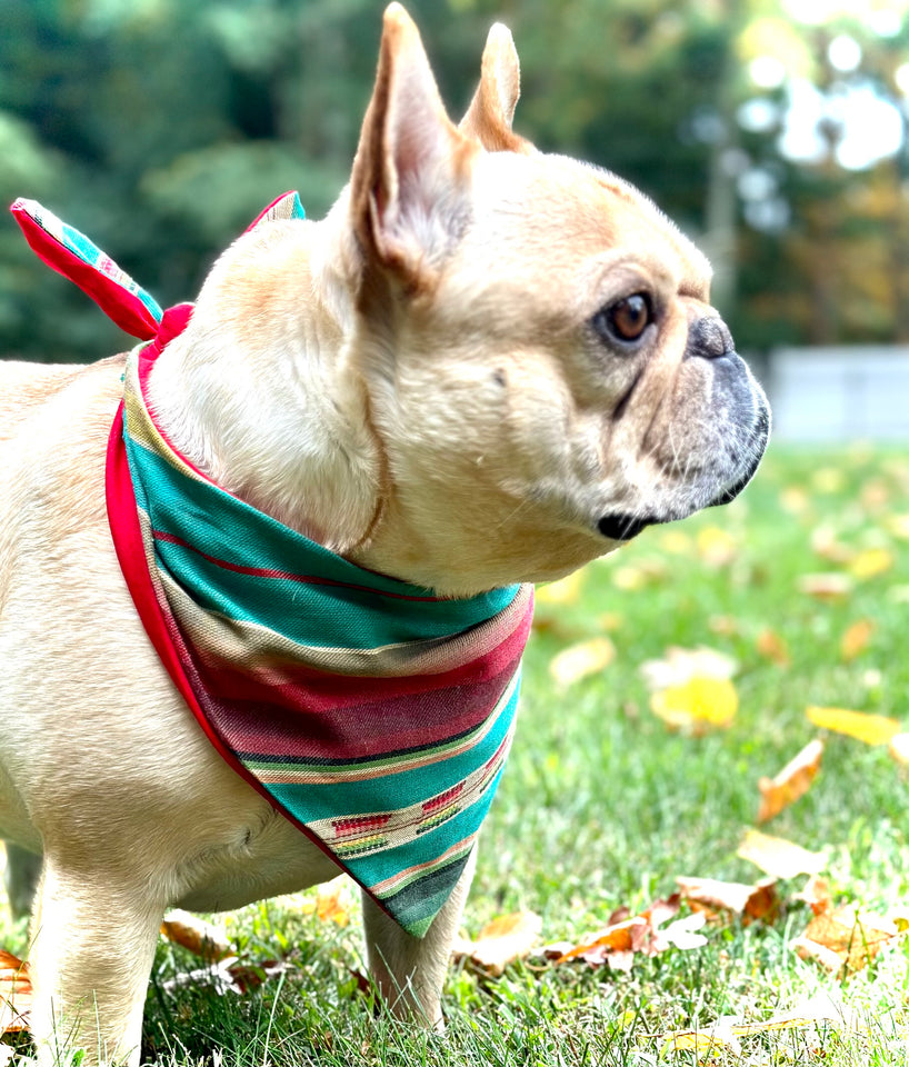 Boho Striped Custom Dog Bandana Southwest Stylish Minimalist Pet Scarf Unique Rustic Dog Accessory Custom Personalized Dog Lover Gift Idea