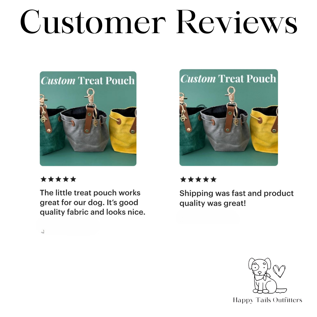 Custom Training Treat Pouch New Arrivals