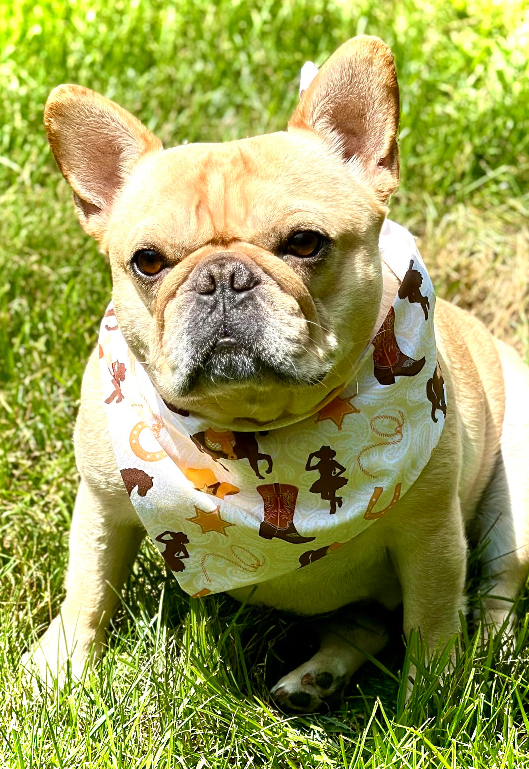 Cowgirl Dog Bandana Fall Collection