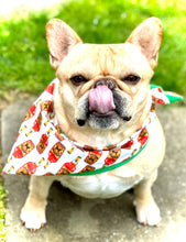 Load image into Gallery viewer, Bourbon Lover Dog Bandana Whiskey-Inspired Pet Scarf for Dogs Puppy Neckwear Gift for Bourbon Enthusiasts Alcohol Themed Funny Apparel Idea
