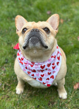 Load image into Gallery viewer, Valentine&#39;s Day Dog Bandana Custom Heart Pet Scarf Personalized Dog Accessory Unique Gift Idea New Family Puppy Heart-Themed Dog Apparel
