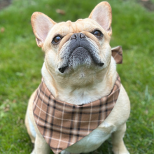 Load image into Gallery viewer, Classic Plaid Dog Bandana Tartan Custom Pet Scarf Personalized Puppy Accessory Unique Gift Idea New Dog Family Pet Handmade Pet Accessory
