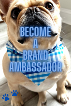 Load image into Gallery viewer, Happy Tails Outfitters Dog Bandana Brand Ambassador Program
