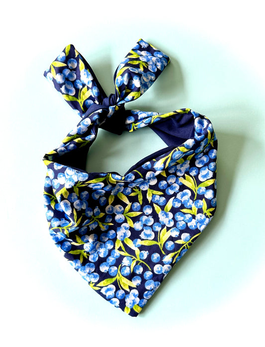 Blueberry Dog Bandana Fruit Inspired Pet Scarf Garden Themed Dog Accessory Unique Gift For New Puppy Farm Life Dog Neckwear Idea For Photo