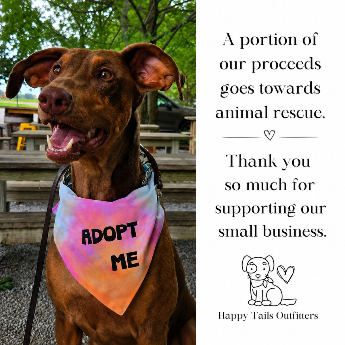 Animal Rescue Hoodie