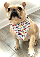 Load image into Gallery viewer, Dog Bandana Happy Gotcha Day Celebration Colorful Pet Scarf Rescue Puppy Neckwear Pet Adoption Party Animal Anniversary Accessory Gift Idea
