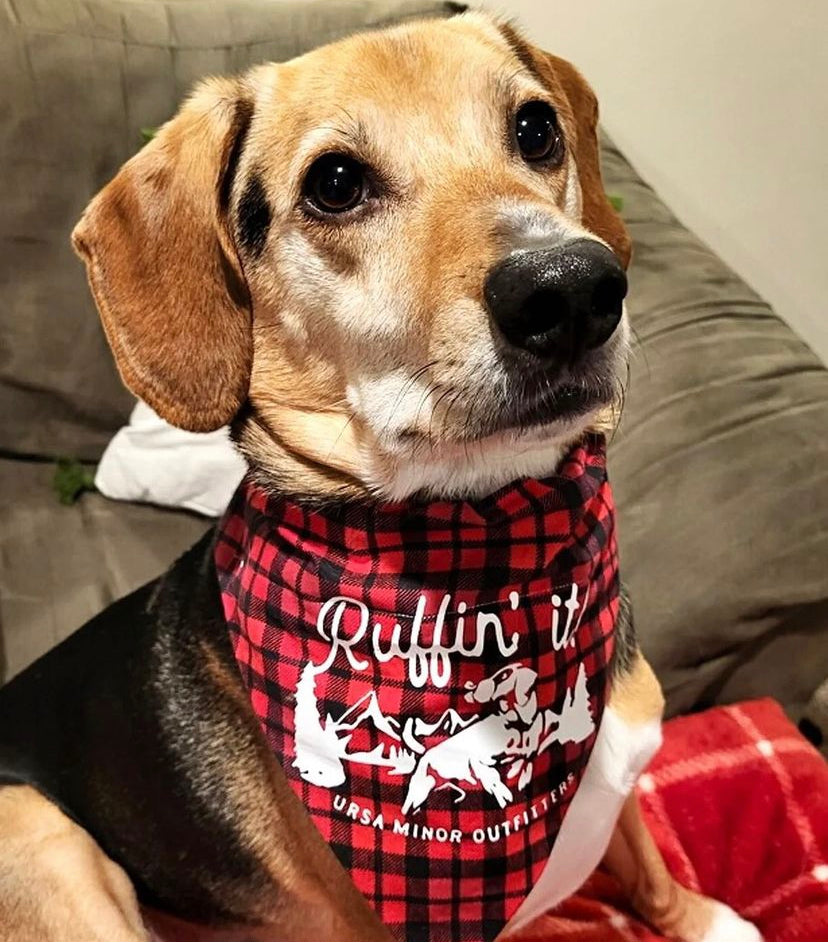 Ursa Minor Outfitters Buffalo Plaid Dog Bandana
