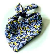Load image into Gallery viewer, Blueberry Dog Bandana Fruit Inspired Pet Scarf Garden Themed Dog Accessory Unique Gift For New Puppy Farm Life Dog Neckwear Idea For Photo

