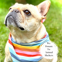 Load image into Gallery viewer, Boho Stripes Dog Bandana Minimalist Dog Scarf for Puppies Stylish Pet Accessory Custom Boho Dog Bandana Unique Dog Lover Gift Idea
