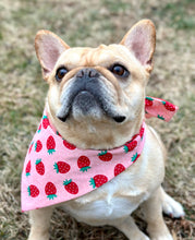 Load image into Gallery viewer, Strawberry Dog Bandana Handmade Custom Pet Scarf Fruit Design Cute Personalized Dog Accessories Berry Neckwear Gift Idea For New Puppy Photo
