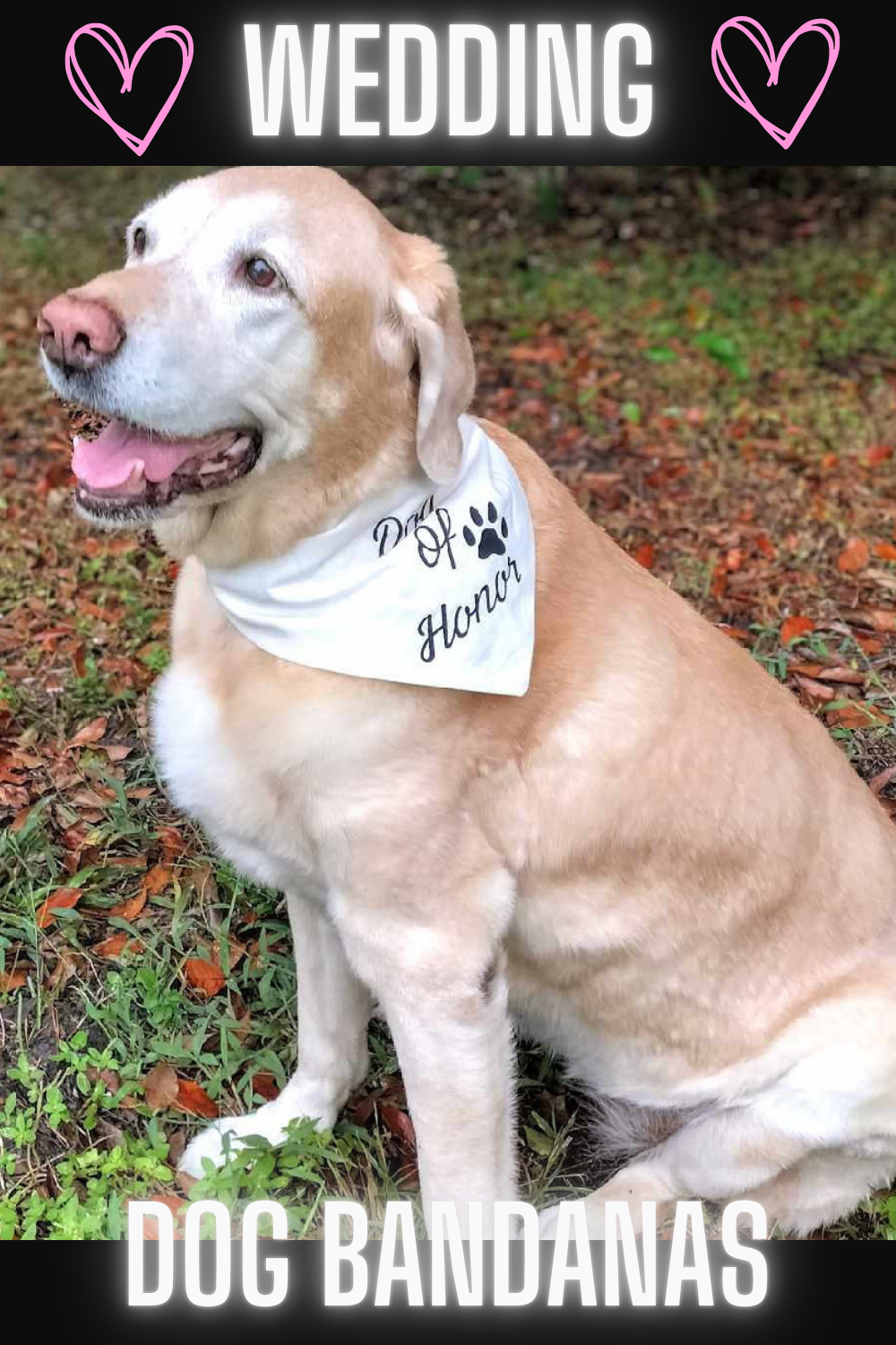 Dog Of Honor Wedding Dog Bandana Happy Tails Outfitters