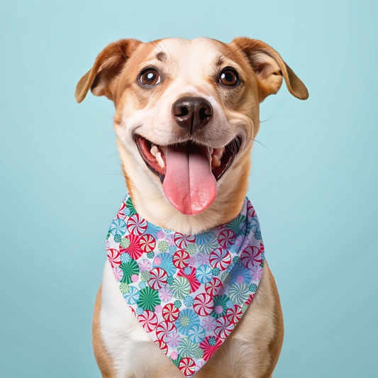 Dog wearing a colorful bandana with a candy pattern on a light blue background