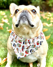 Load image into Gallery viewer, Sushi Dog Bandana Cute Pet Scarf for Dog Lovers Gift Unique Japanese Food Print Dog Accessory Fun Dog Outfit for Sushi Lovers Foodie Fashion
