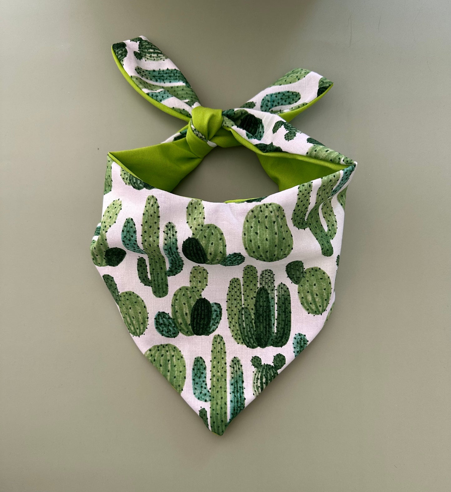 Cactus Dog Bandana Cute Succulent Pet Scarf Southwestern Dog Accessories Desert Flower Boho Dog Outfit Perfect Gift Idea for Dog Lovers