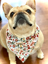 Load image into Gallery viewer, Harvest Floral Dog Bandana Fall Collection
