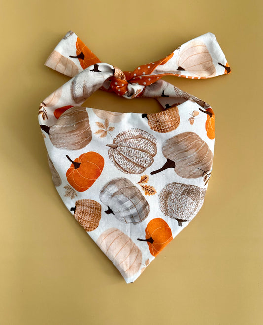 Dog bandana with autumnal pumpkin and leaf pattern on a beige background