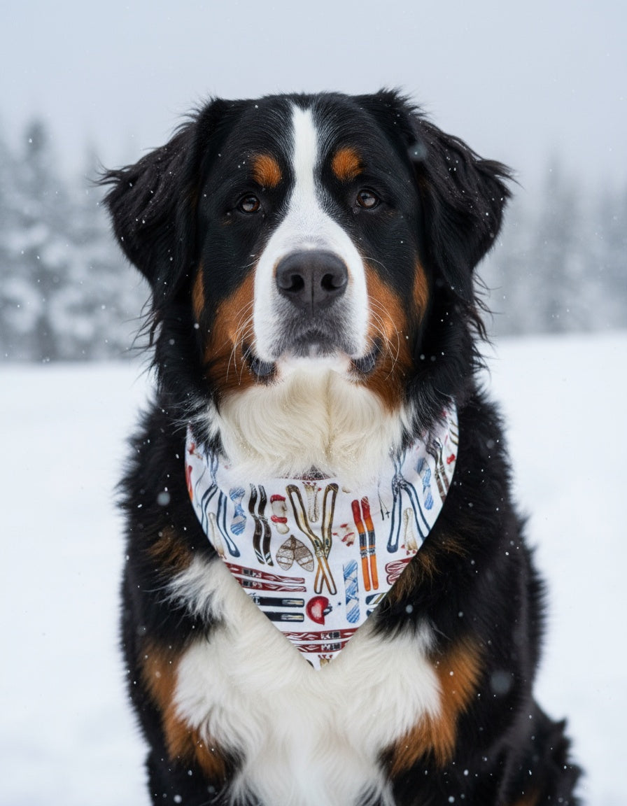 Dog wearing a bandana in the snow