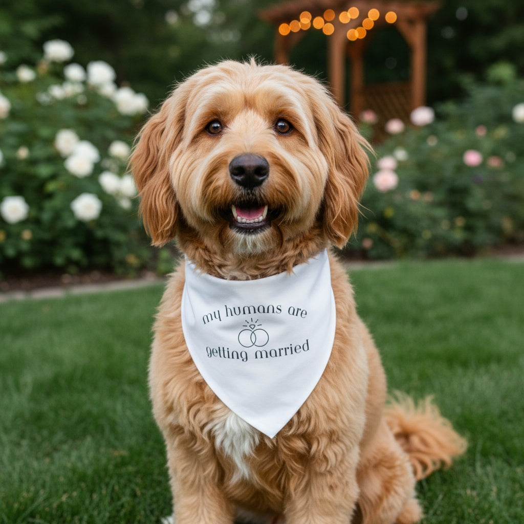 Wedding Dog Bandana