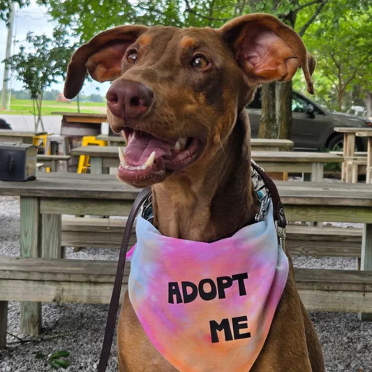 adopt me tie dye dog bandanas
