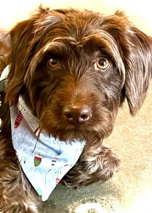 Dog Bandana Fish Hook Theme Gone Fishing Pet Scarf Outdoor Enthusiast Gift New Dog Lake Life Pet Neckwear Camping Puppy Adventure Apparel