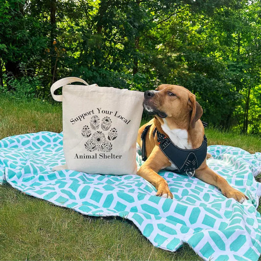 Dog sitting on a blanket with a tote bag that says 'Support Your Local Animal Shelter' in a park setting.