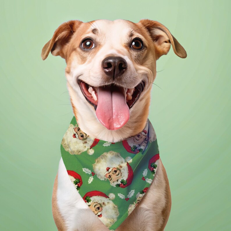 mixed breed dog in a Santa dog bandana