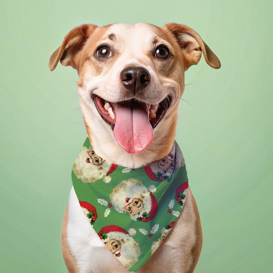 mixed breed dog in a Santa dog bandana