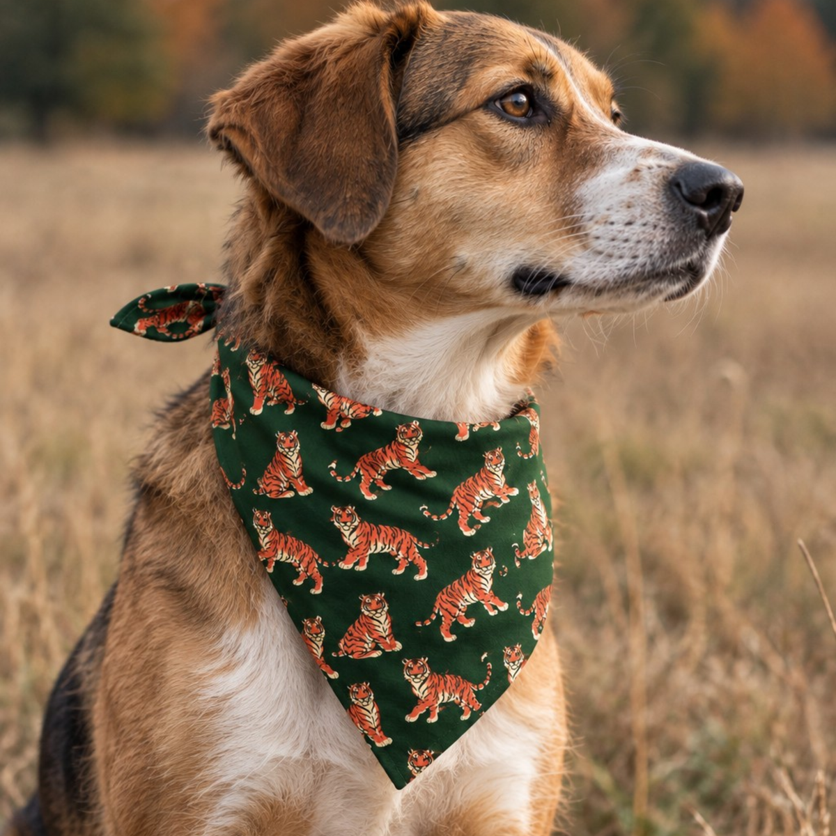 mixed breed dog wearing a tiger dog bandana